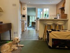 With the prospect of a long first day ahead, we arrived in Burnham-on-Crouch the previous evening - here Ani is enjoying a rest!